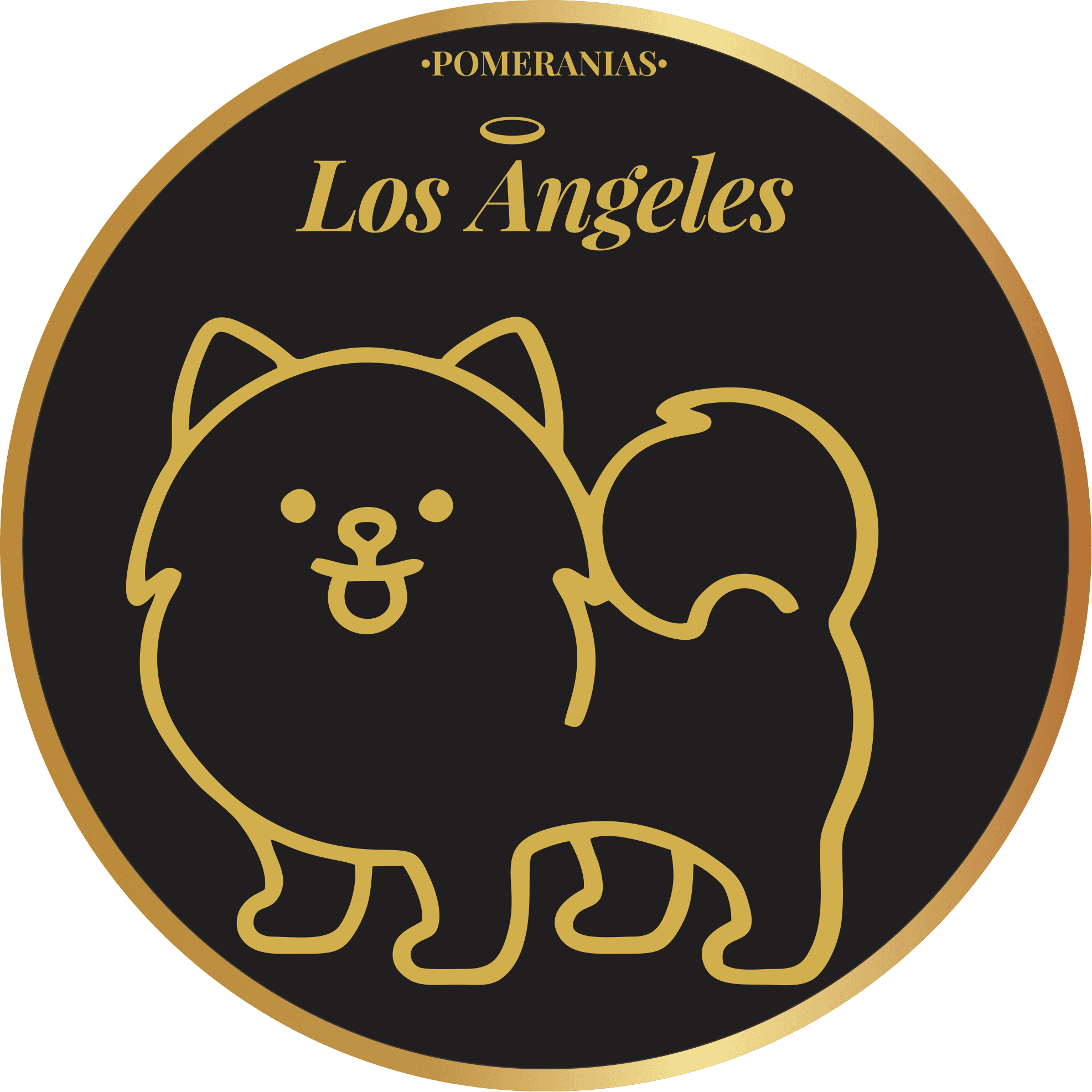 Eye Wash Pads – Pet Shop