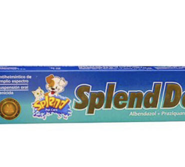 Splend Dog