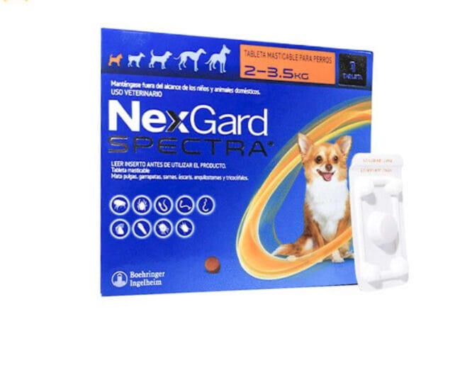 Nexgard spectra -perros